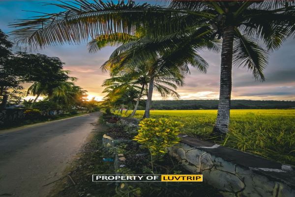 1 Day Trip ke Desa Adat Karing Karing - Luvtrip