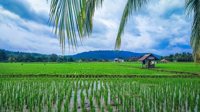 Karing Karing, Little Bali nya Baubau