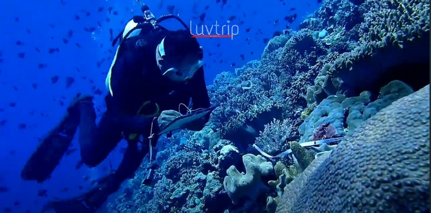 Wakatobi - Mengeksplorasi Dive Site Baru