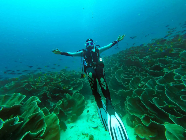 Diving at Hoga Island Kaledupa