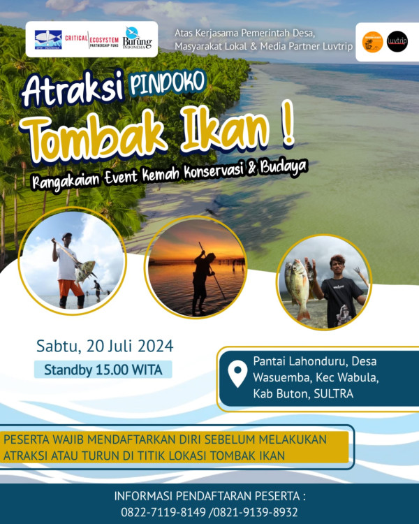 Atraksi Pindoko: Tradisi Tombak Ikan di Desa Wasuemba, Buton