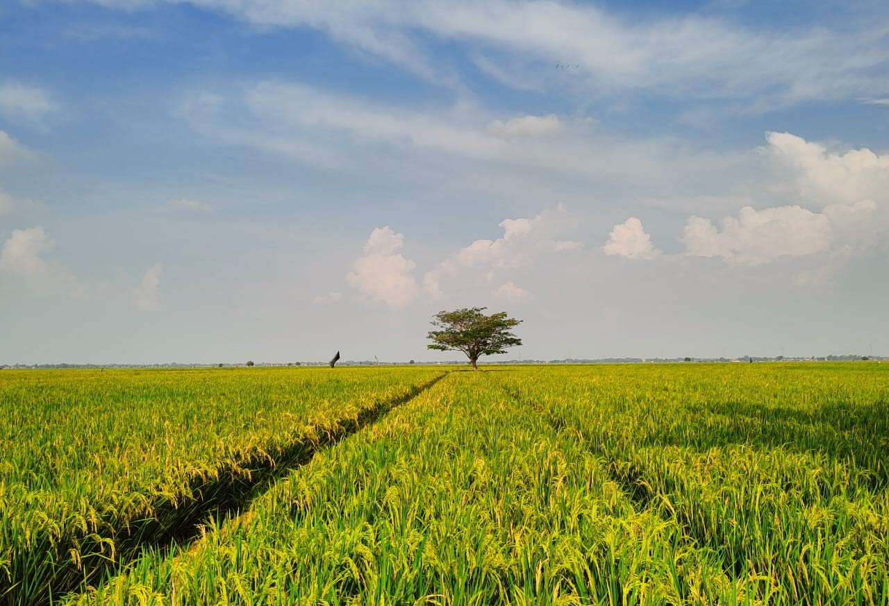 Apa Itu Soft Travel dan Bagaimana Bedanya dengan Slow Travel?