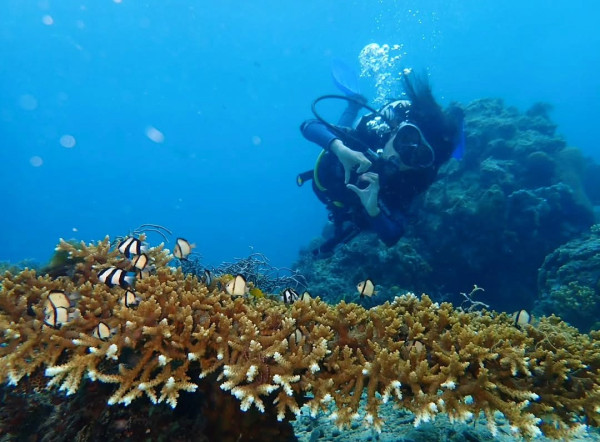 Buton Diving Beauty with Impact